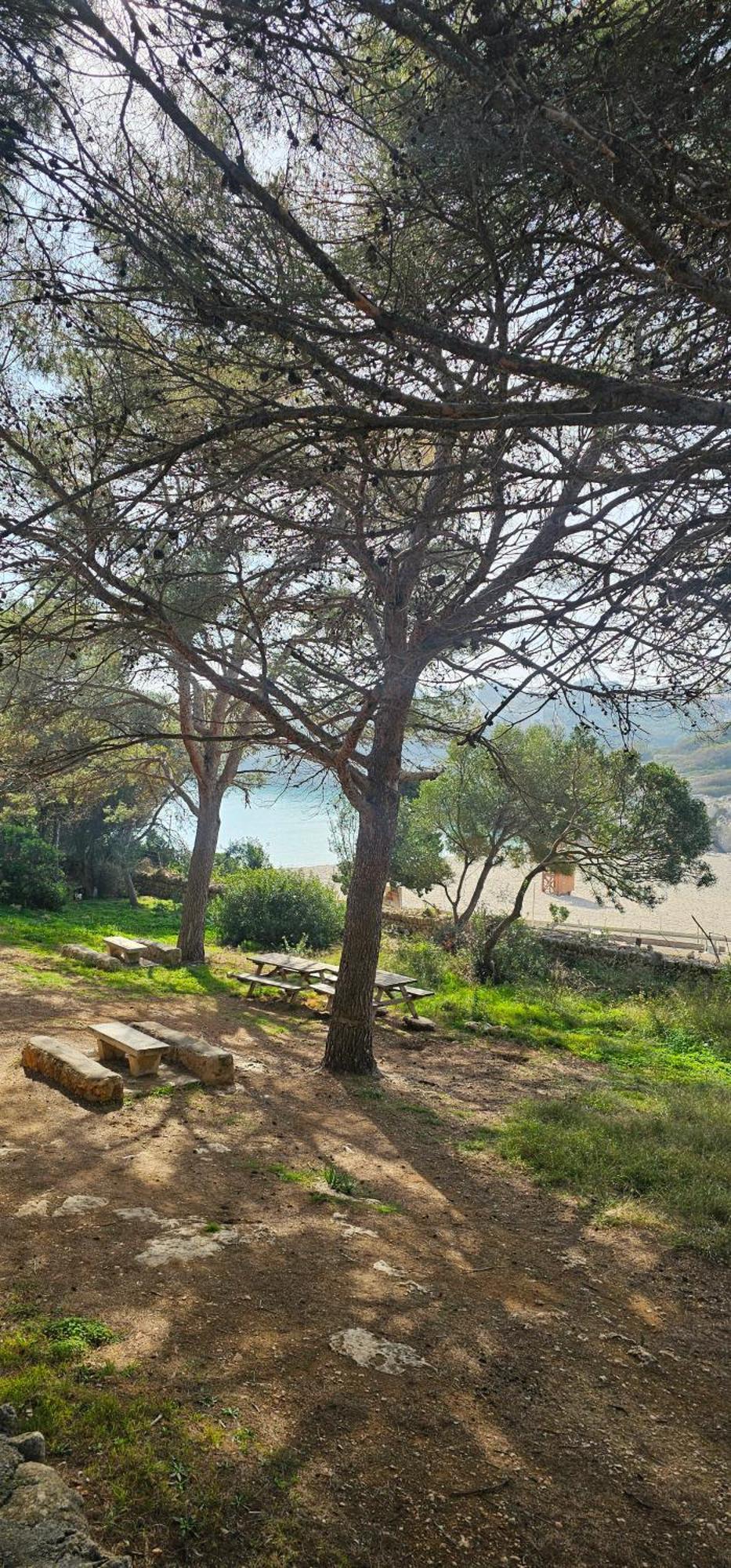 Casa Domingos Cales De Mallorca Экстерьер фото